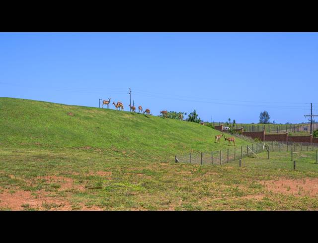 3,987M² VACANT LAND FOR SALE IN SPRINGVALE COUNTRY ESTATE